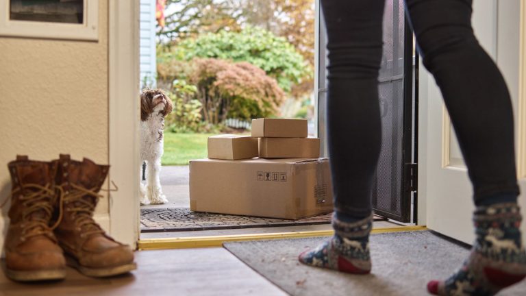 Dogfy Diet ou Dog Chef : comparatif du service client et des livraisons