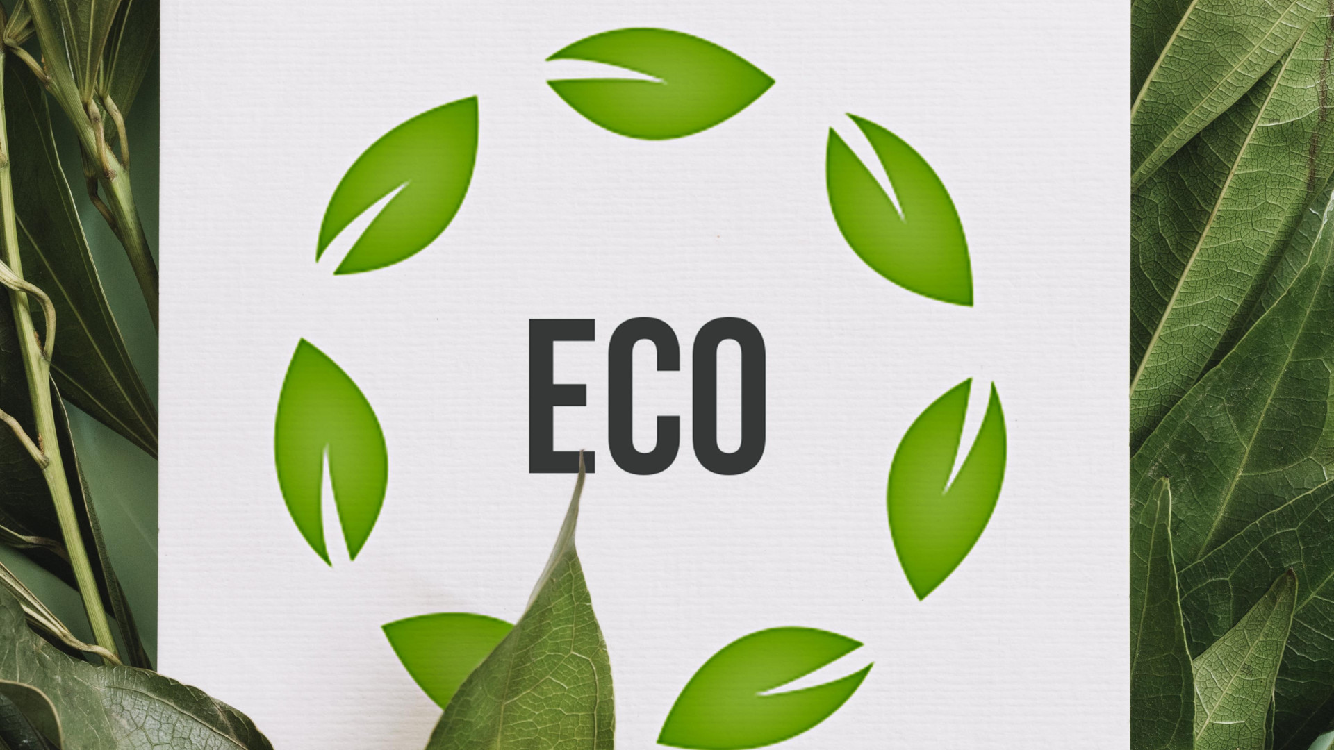Les marques de produits écologiques au meilleur rapport qualité/prix
