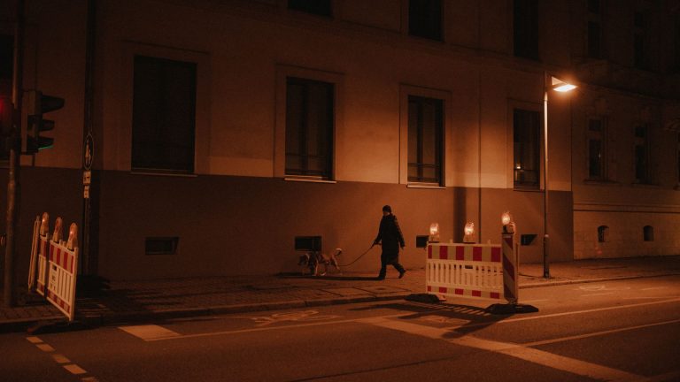 Que faire quand votre animal a besoin d’aide la nuit à Montaudran ?