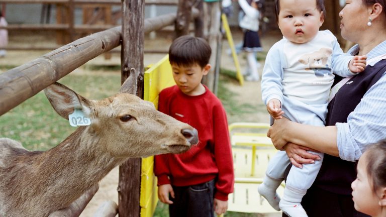 Parc animalier Strasbourg en poussette : infos pratiques et réflexes