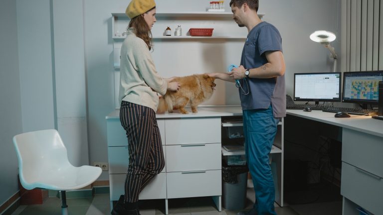 Les vétérinaires engagés dans le bien-être animal : 4 références à connaître