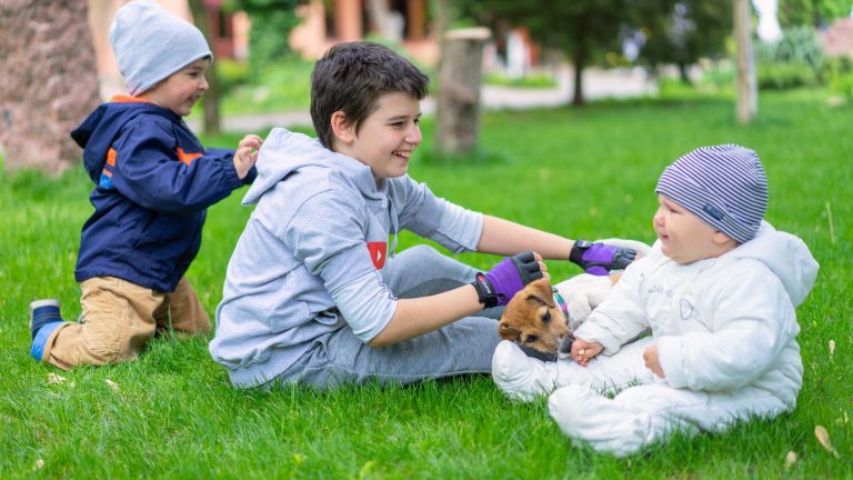 Bébé Cavalier King Charles : les premières semaines de socialisation