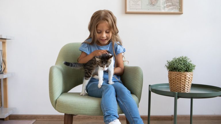 Les meilleurs éleveurs de chats en Gironde : notre classement 2026