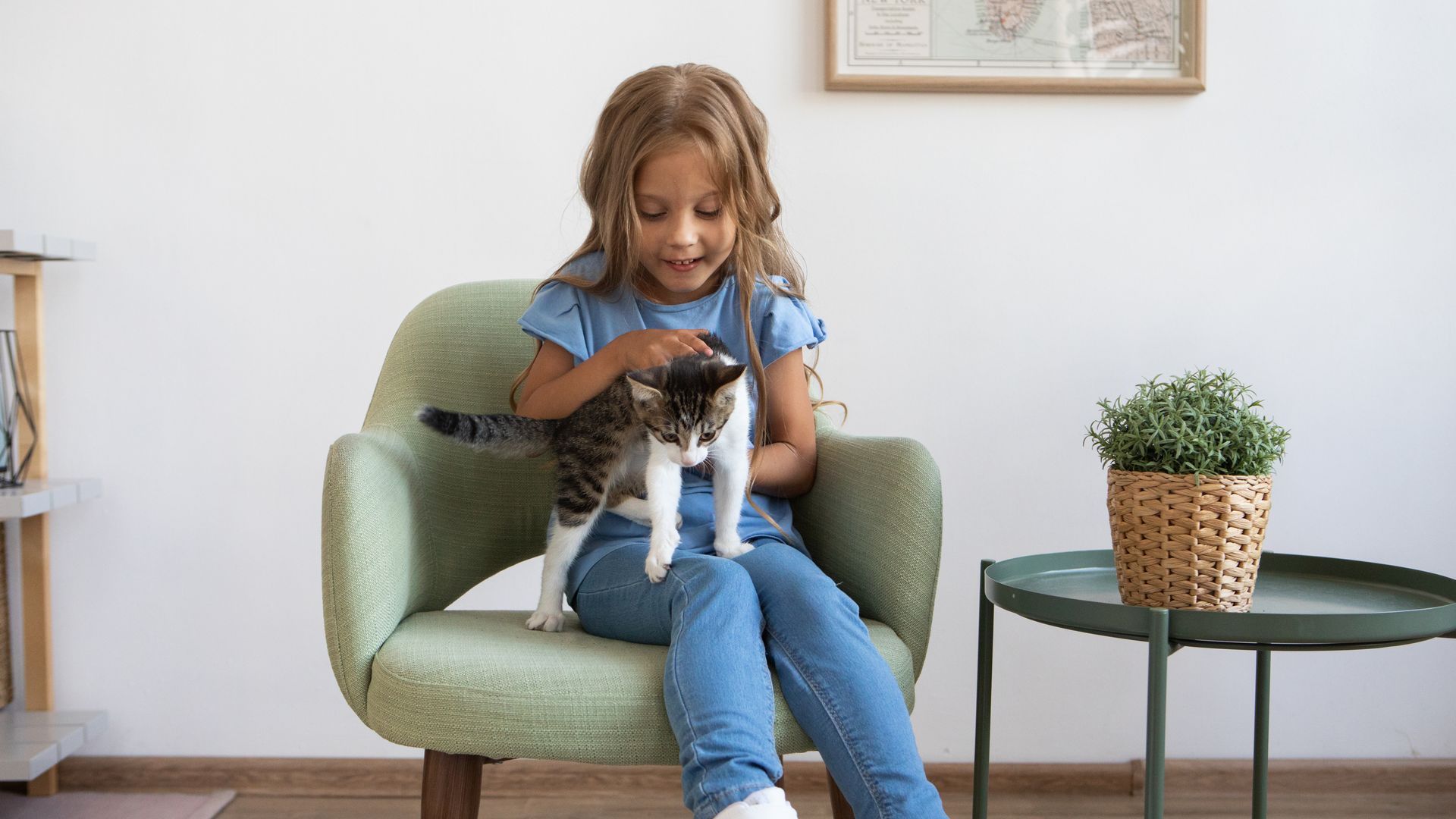 Les meilleurs éleveurs de chats en Gironde : notre classement 2026
