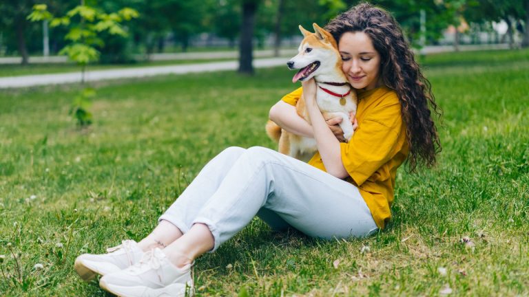 Tout sur le Shiba Inu blanc : caractéristiques, élevage et soins